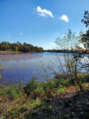 TBD BRUSH LAKE LANE LANE, PARK RAPIDS, MN 56470, photo 4 of 8