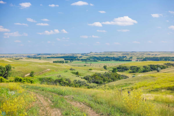 TBD 60 AVENUE SW, LEITH, ND 58529 - Image 1