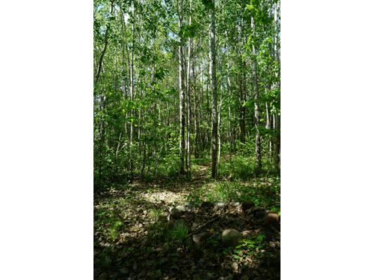 LOT 3 BLK BLACK BEAR TRAIL, Brainerd, MN 56401 Land For Sale | MLS